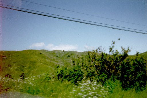 hills